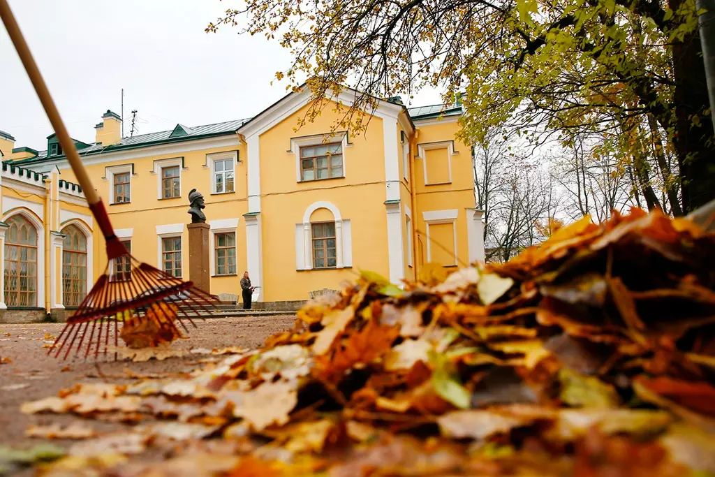 Петербуржцам предлагают оценить качество проведения осенней уборки на территории их района