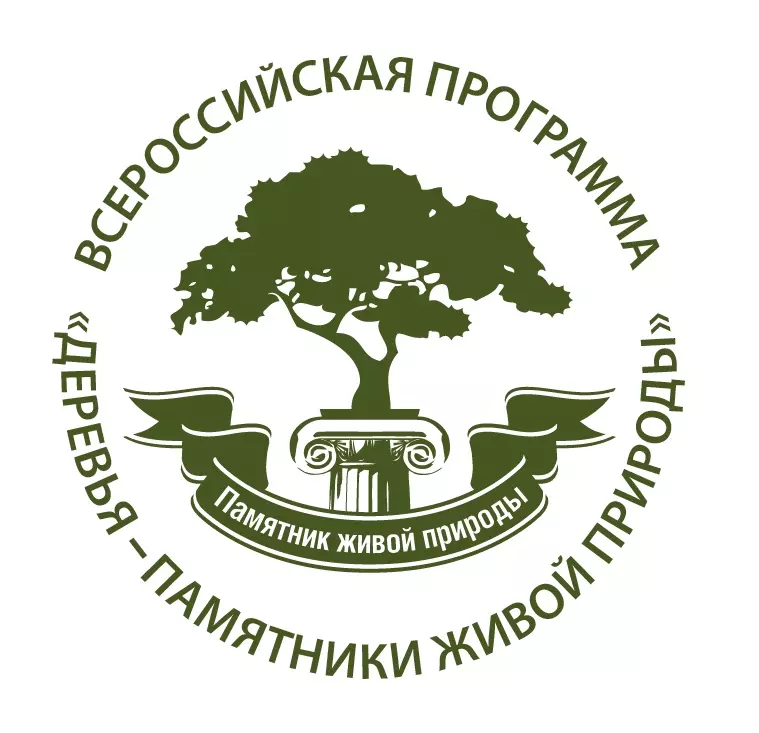 Мы выбираем #главноедеревостраны!