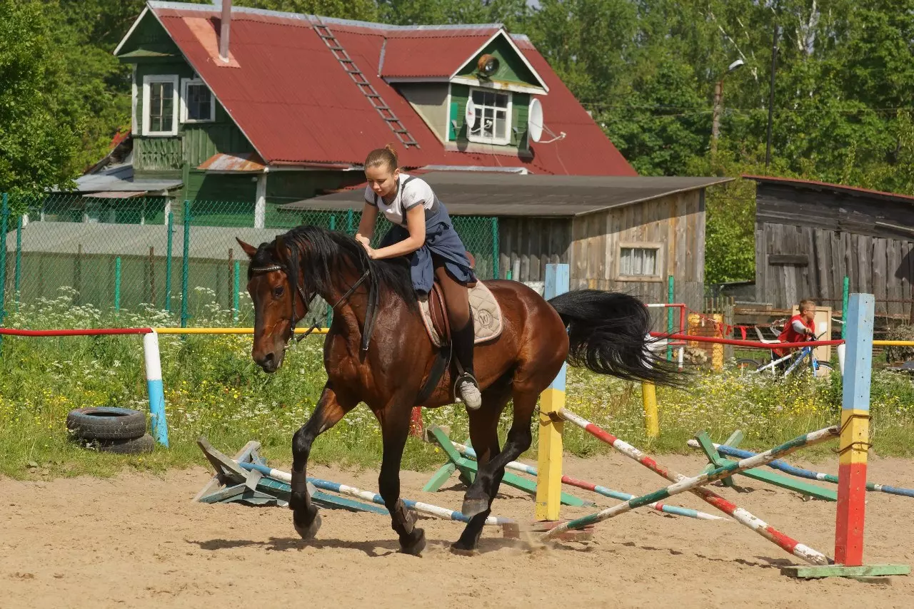 Все в «Кентавр»