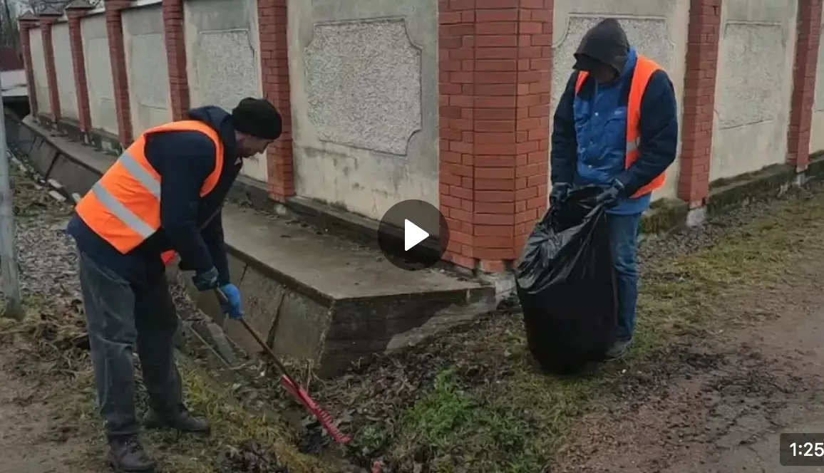Дневник весенней уборки