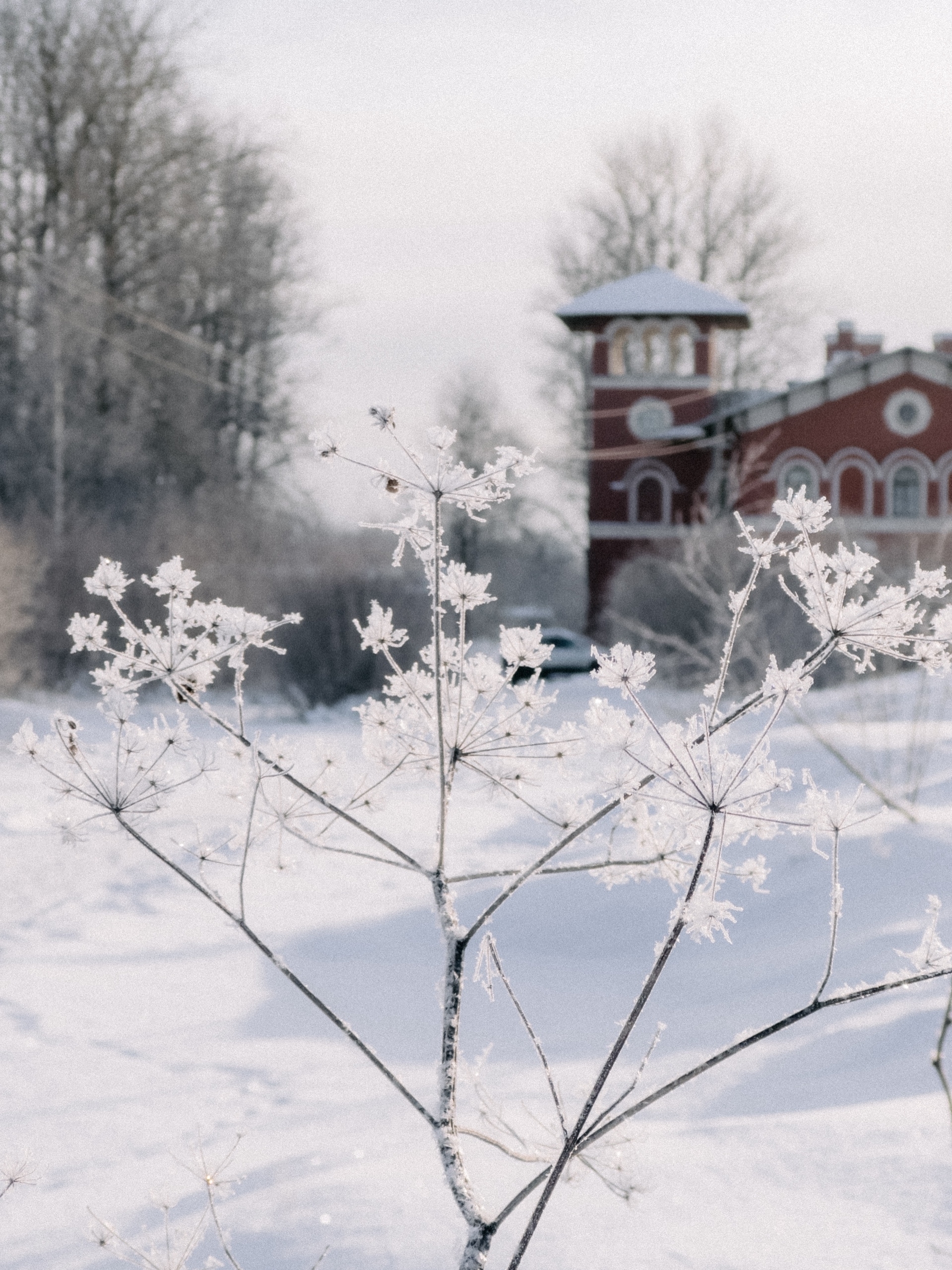 Народная журналистика: вокзал, февральский мороз
