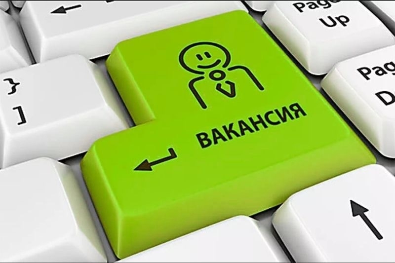 Ярмарка вакансий от кадрового центра Петродворцового района