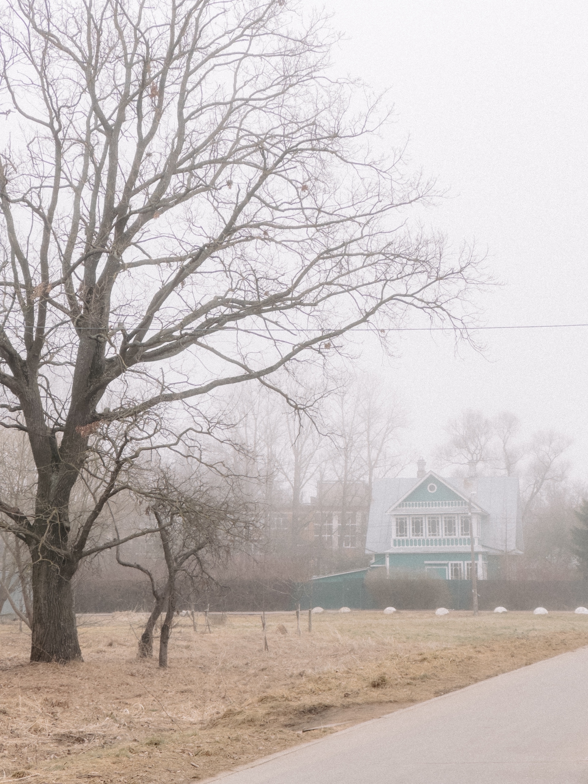 Народная журналистика: туман в Стрельне