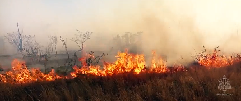 Поджог сухой травы запрещен