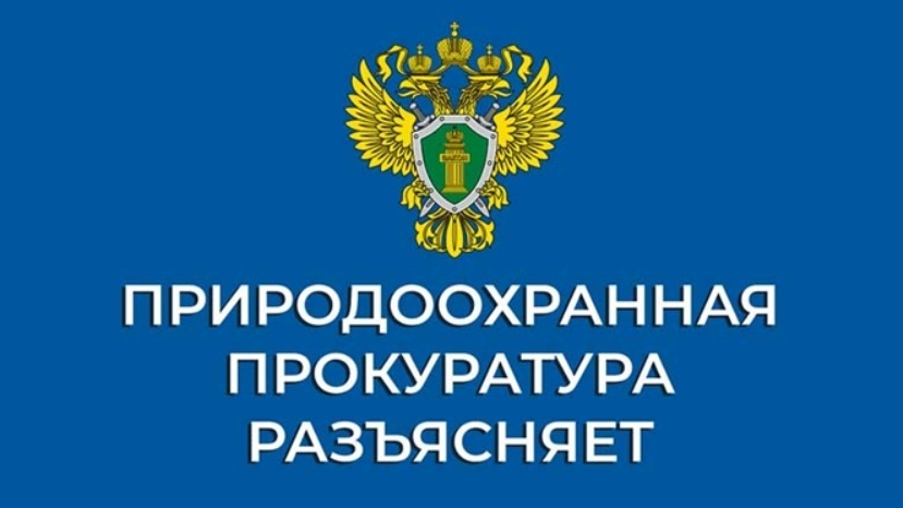 Пользование водой: как не получить штраф за лишнюю трубу или причал