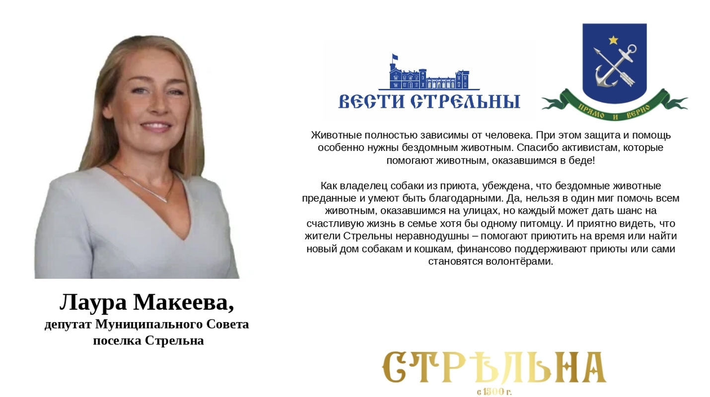 4 октября отмечается всемирный день защиты животных