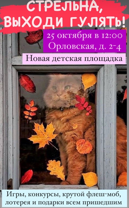 Стрельна выходи гулять!