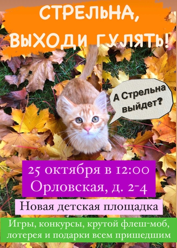 Стрельна выходи гулять!