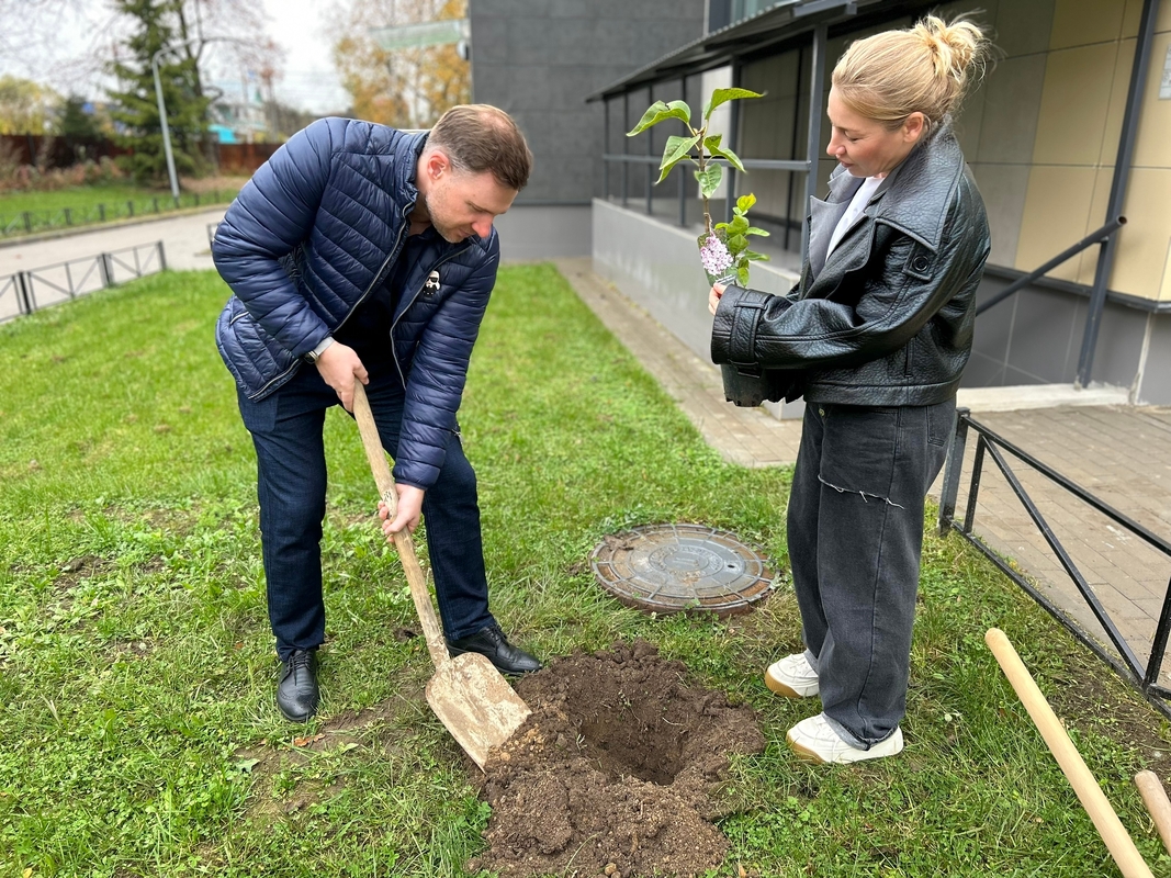 Символическую аллею дружбы из кустов сирени высадили в Стрельне