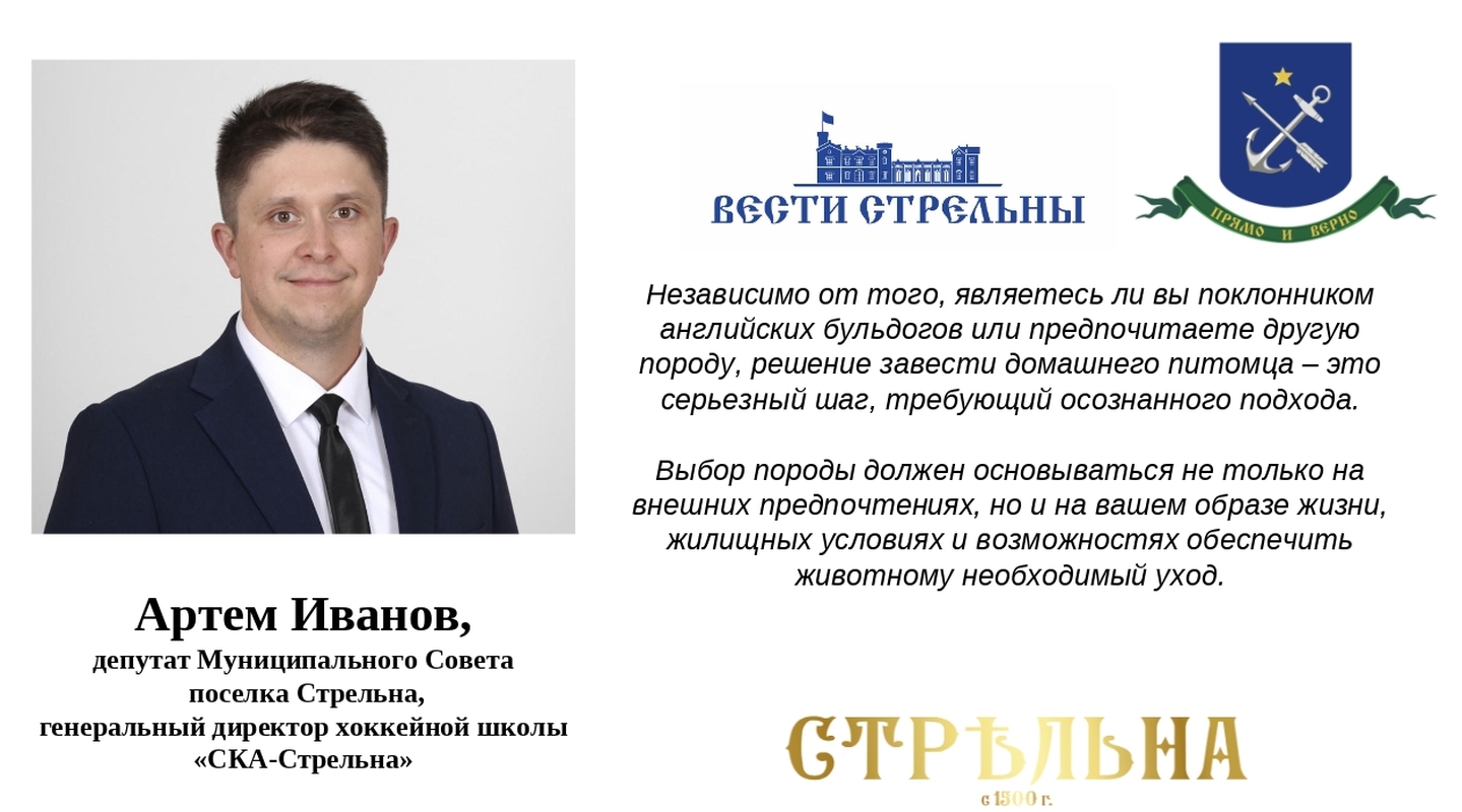 В ответе за тех, кого приручили