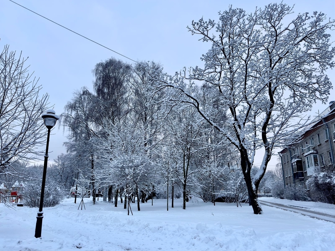 Народная журналистика: зима-холода