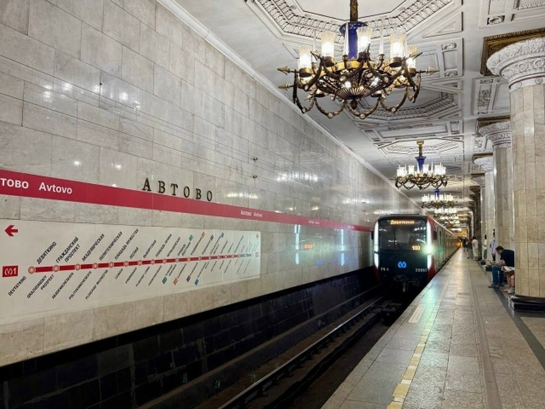 Парк общественного транспорта в Петербурге пополнили 700 единиц техники