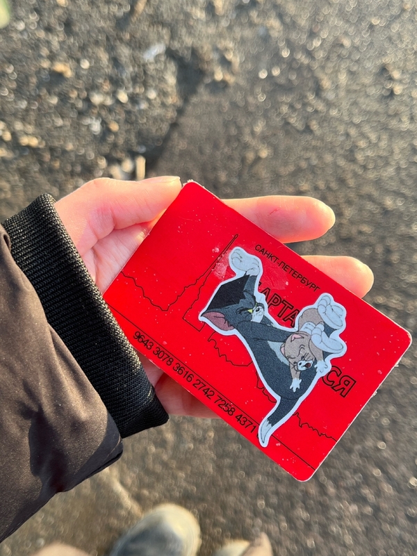 Потеряшки Стрельны: найдена карта учащегося