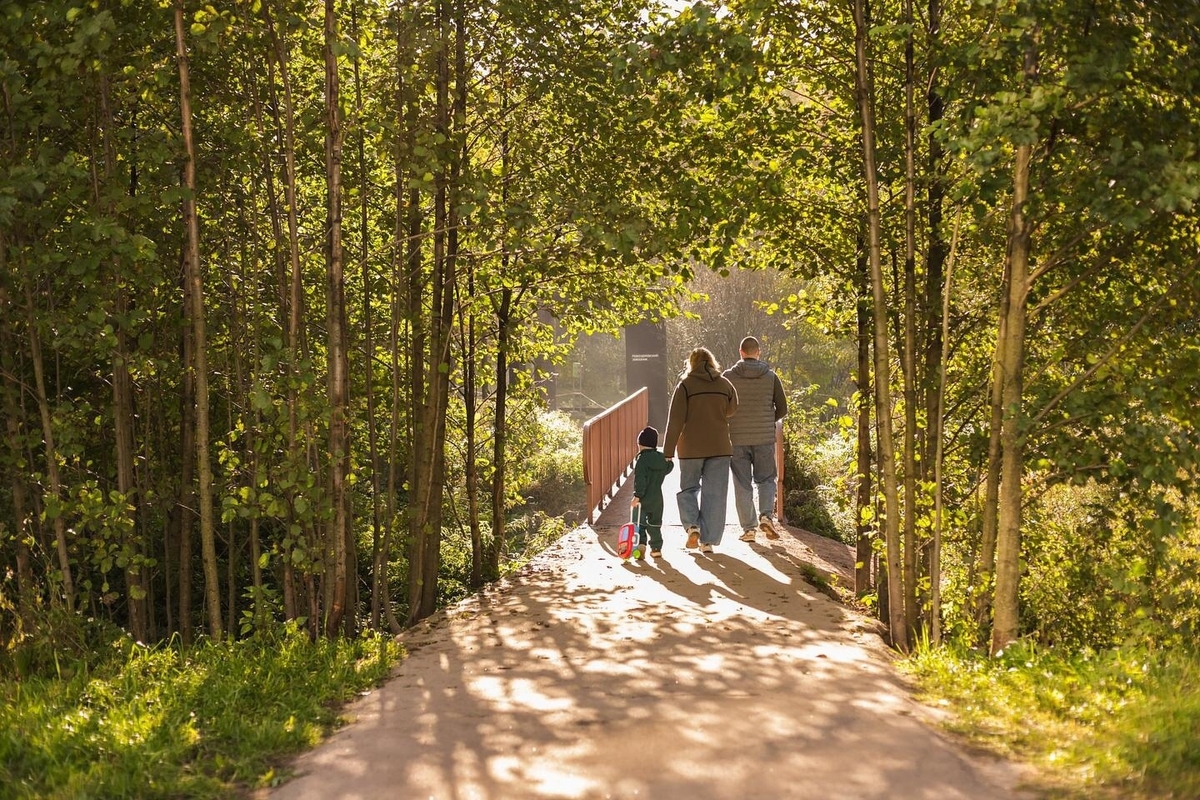 Михаил Барышников – об устройстве экотропы в парке «Сергиевка»