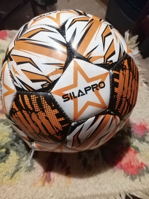 Потеряшки в Стрельне: два мяча – один найден, другой в розыске