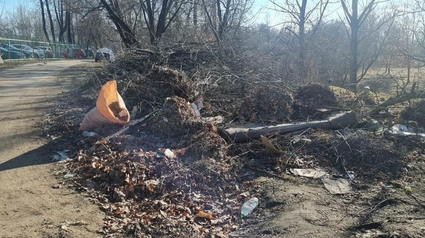 «Флора» за чистоту Стрельны