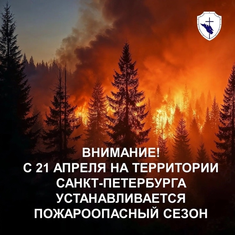 В Петербурге установлен пожароопасный сезон
