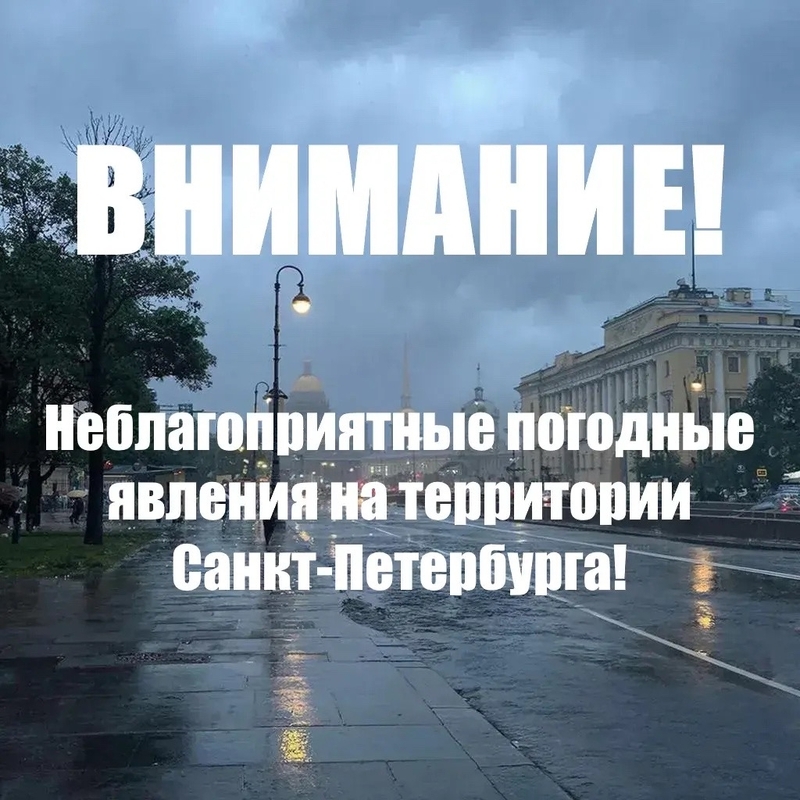 Завтра прогнозируют сильный ветер