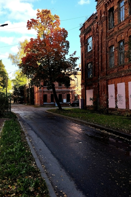 Историческое здание в Стрельне войдёт в программу приватизации