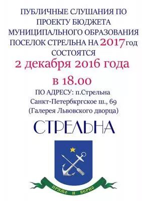 Публичные слушания по проекту бюджета на 2017 год