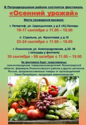 Фестиваль «Осенний урожай» отменен!
