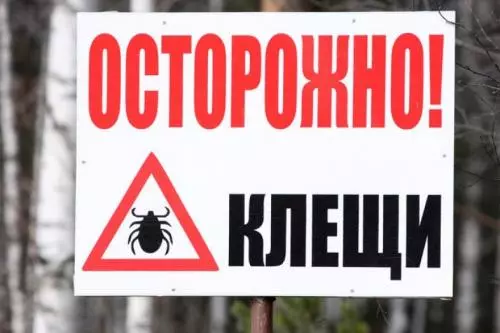 Осторожно клещи!