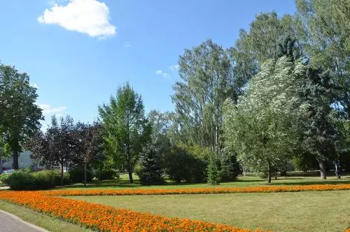 Стрельна победила в конкурсе «Парад садов»