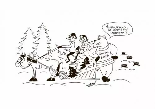 За «ёлочку» ответить!