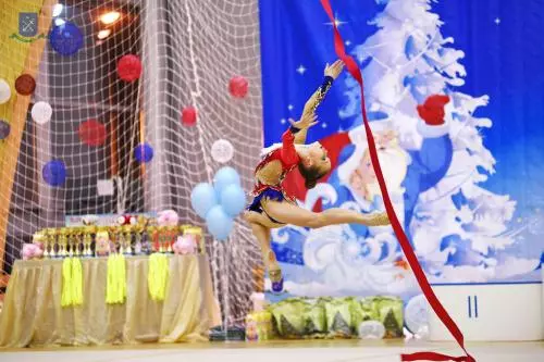 Кубок Деда Мороза и Снегурочки