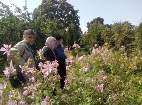 Края работы в Свято-Сергиевой пустыни не видно