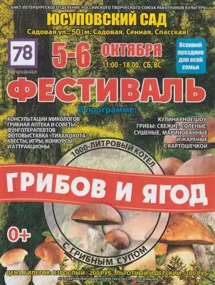 Фестиваль грибов и ягод