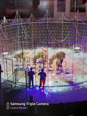«Волшебные Фонтаны» в Цирке на Фонтанке