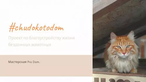 Кошкин дом Николы Чудакова