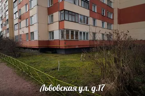 Рейтинговое голосование