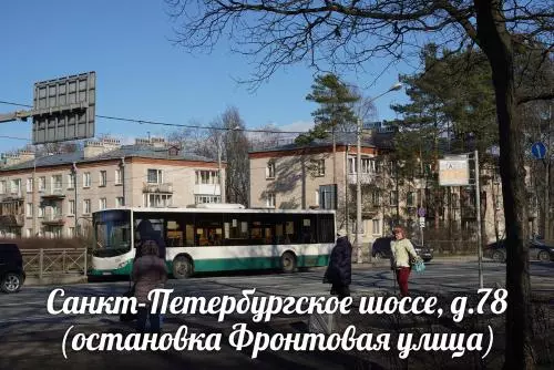 Остановки вернутся в Стрельну