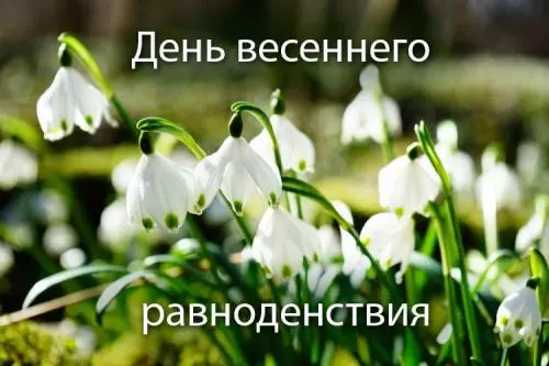 Все идет своим чередом