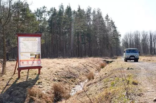 Посещать леса Ленобласти теперь запрещено