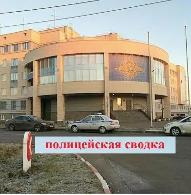 Полицейская сводка