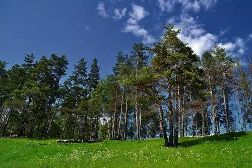 Всероссийская экологическая программа