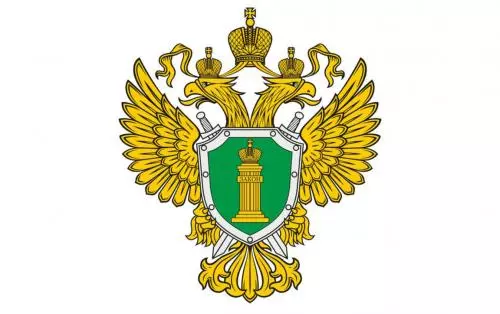 Проверки Петродворцовой прокуратуры
