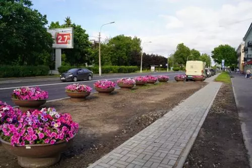 Новая пешеходная дорожка вдоль Санкт-Петербургского шоссе