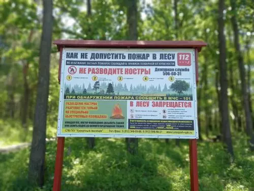 В Санкт-Петербурге продлили противопожарный режим