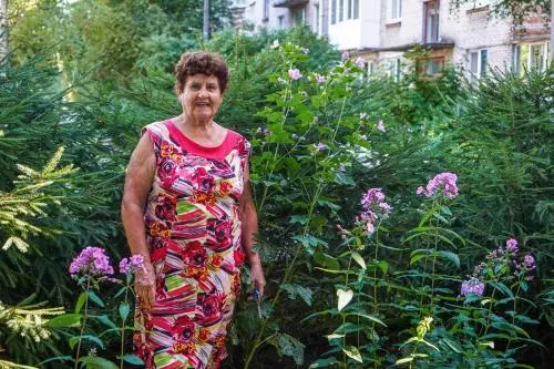 ЁЛОЧКИ В ПАЛИСАДНИКЕ НИНЫ КОНСТАНТИНОВНЫ