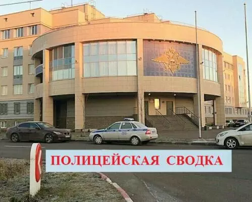 Полицейская сводка