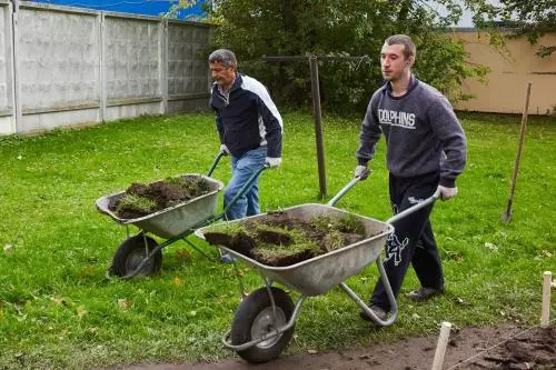 Подготовка высадки зелёных насаждений