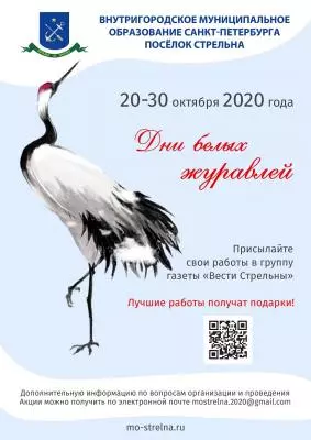 Дни белых журавлей