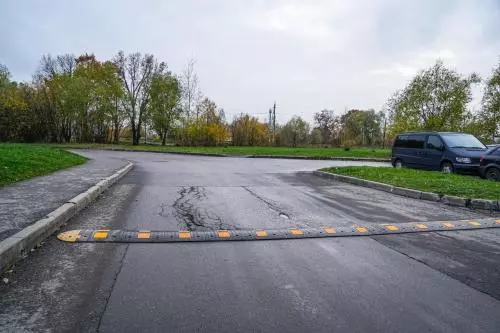 Посадка кустарников, лежачие полицейские и капитальный ремонт