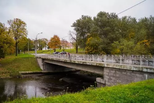 Мосту через Стрелку могут присвоить имя Анатолия Лемана