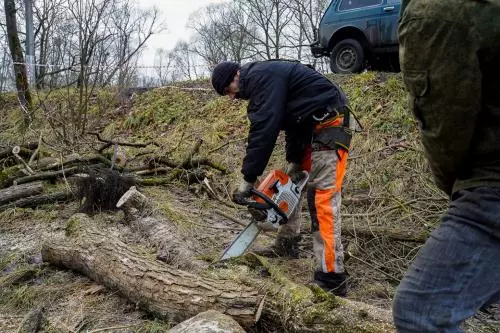 Снос деревьев на портовой