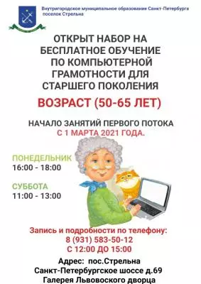 Компьютерная грамотность для старшего поколения